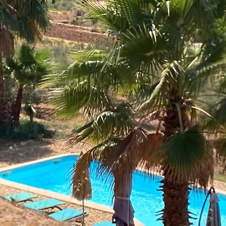 La Venturonne Appartement Neuf Rez De Jardin 45 M2 Vue Mer Et Vignes 10 Mn Des Plages Le Beausset Ngoại thất bức ảnh
