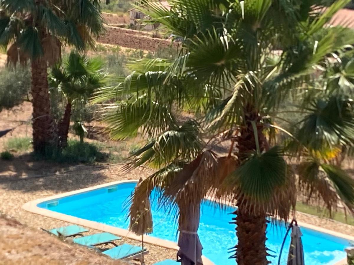 La Venturonne Appartement Neuf Rez De Jardin 45 M2 Vue Mer Et Vignes 10 Mn Des Plages Le Beausset Ngoại thất bức ảnh